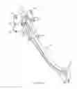 Fig. 23 - Litter support systems for medical care units and methods of their use
