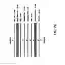 Fig. 08 - Transaction card