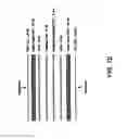 Fig. 10 - Transaction card