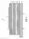 Fig. 07 - Thin film field effect transistor with dual semiconductor layers