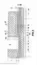 Fig. 06 - Transistor structure and light emitting apparatus