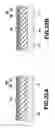 Fig. 23 - Transistor structure and light emitting apparatus