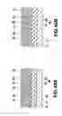 Fig. 41 - Transistor structure and light emitting apparatus