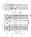 Fig. 14 - 3D memory array with improved SSL and BL contact layout