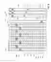 Fig. 17 - 3D memory array with improved SSL and BL contact layout