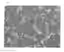 Fig. 03 - Latent hardener with improved barrier properties and compatibility