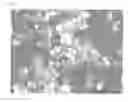 Fig. 04 - Latent hardener with improved barrier properties and compatibility