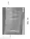 Fig. 09 - DEVICE AND METHOD FOR FORMING MULTILAYERED LAMINATES