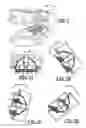Fig. 02 - Powder slush molding process and equipment