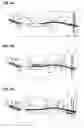 Fig. 05 - Image forming apparatus