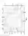 Fig. 02 - Complete inner and outer jigsaw puzzle