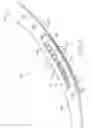 Fig. 04 - Expansion ring assembly