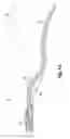 Fig. 07 - Strap for snowboard binding