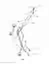 Fig. 02 - Collapsible wheeled stretcher