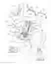Fig. 01 - Child restraint for vehicle