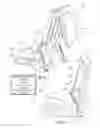 Fig. 03 - Child restraint for vehicle