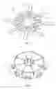 Fig. 03 - Commutator having a plurality of commutator segments and method for making the same