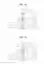 Fig. 09 - Plasma jet ignition plug