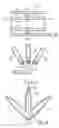 Fig. 07 - Semiconductor light emitting apparatus including elongated hollow wavelength conversion tubes