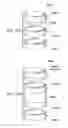 Fig. 48 - Multilevel correlated magnetic system and method for using the same