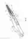Fig. 05 - Cables and connector assemblies employing a furcation tube(s) for radio-frequency identification (RFID)-equipped connectors, and related systems and methods