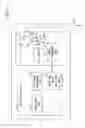 Fig. 13 - WIRELESS COMMUNICATION DEVICE AND WIRELESS COMMUNICATION METHOD