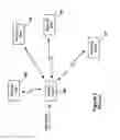 Fig. 02 - Dual band dual polarization antenna array