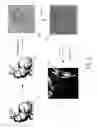 Fig. 03 - Subdividing geometry images in graphics hardware