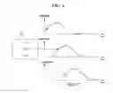 Fig. 05 - Stereoscopic image display and driving method thereof