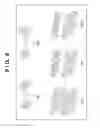 Fig. 09 - Image forming apparatus and image forming method