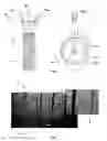 Fig. 02 - Evaluation of the relief of a tire surface by active stereovision
