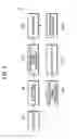 Fig. 06 - Eyeglass device and video system