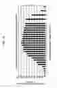 Fig. 11 - Eyeglass device and video system