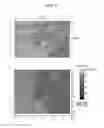 Fig. 10 - Microscope control device, image display device, image management server, in-focus position information generating method, image display method, image management method and microscope image management system