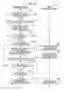 Fig. 30 - Microscope control device, image display device, image management server, in-focus position information generating method, image display method, image management method and microscope image management system