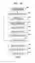Fig. 11 - Image processing apparatus with blur correcting function