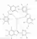 Fig. 63 - POLYMER COMPOUND AND POLYMER LIGHT-EMITTING DEVICE USING THE SAME