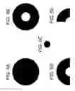 Fig. 07 - EVALUATING PUPILLARY RESPONSES TO LIGHT STIMULI