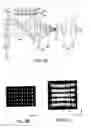 Fig. 03 - Light source device with a plurality of light sources and a collimating lens