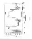 Fig. 08 - Correlation technique for analysis of clinical condition