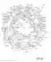 Fig. 79 - Check and U.S. bank note processing device and method