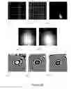 Fig. 10 - Holographic Image Display Systems