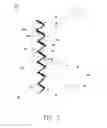Fig. 03 - Projection screen and manufacturing method thereof