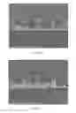 Fig. 05 - Composite optical film