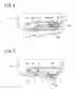 Fig. 05 - ELECTRONIC DEVICE