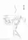 Fig. 06 - Luminaire having structural wall with self-capturing wire chase