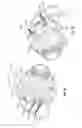 Fig. 02 - Speaker Illumination System and Method Therefor