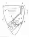 Fig. 15 - Lighted exterior mirror assembly for vehicle
