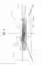 Fig. 05 - Vehicle lamp unit