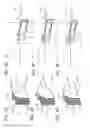 Fig. 06 - Vehicle lamp unit